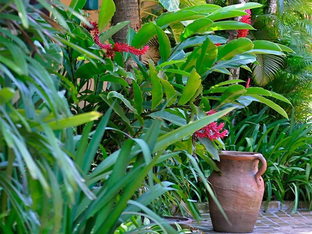 Pousada Fragata - Arraial D Ajuda - Melhor Localizacao E Atendimento Arraial d'Ajuda